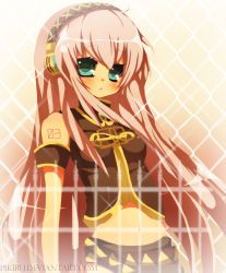 Rule 34 | 1girl, armband, artist request, black shirt, blue eyes, breasts, commentary, detached sleeves, gold trim, headphones, headset, highres, light blush, long hair, looking at viewer, medium breasts, megurine luka, non-web source, pink hair, shirt, short sleeves, solo, tail, upper body, vocaloid