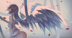 Rule 34 | 1girl, absurdres, albino, ass, bandages, blurry, closed mouth, depth of field, feathered wings, floating hair, grey hair, highres, long hair, looking up, original, petals, red eyes, sidelocks, solo, veilrain, wings