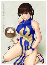 Rule 34 | 1girl, arm support, azasuke, bamboo steamer, baozi, bare shoulders, bird, border, braid, breasts, brown eyes, brown hair, china dress, chinese clothes, cuffs, dead or alive, dim sum, dress, dumpling, earrings, female focus, food, grin, high heels, highres, jewelry, kneeling, large breasts, lei fang, looking at viewer, nail polish, outside border, palette swap, phoenix, sandals, sitting, smile, solo, tecmo, twin braids, wariza, white border