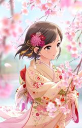 Rule 34 | black hair, cherry blossoms, closed mouth, day, game cg, grey eyes, hair ornament, highres, idolmaster, idolmaster cinderella girls, idolmaster cinderella girls starlight stage, japanese clothes, kimono, medium hair, non-web source, official art, parted bangs, saejima kiyomi, smile, unworn eyewear, upturned eyes