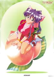 Rule 34 | 1990s (style), 1girl, breasts, company name, dancing blade, food, fruit, full body, high ponytail, japanese clothes, large breasts, logo, long hair, momohime (dancing blade), non-web source, official art, peach, purple eyes, purple hair, retro artstyle, sitting, smile, solo, tabi, wariza, wristband