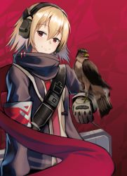 Rule 34 | 1girl, bird, bird on hand, blonde hair, closed mouth, feet out of frame, girls&#039; frontline, headphones, highres, jacket, lodbyy, looking at viewer, medium hair, purple jacket, red background, red eyes, red scarf, scarf, scw (girls&#039; frontline), smile, solo, standing, weapon case