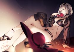 Rule 34 | 1girl, ankle strap, arm support, bikini, black bikini, black nails, bracelet, breasts, carmilla (fate), carmilla (swimsuit rider) (fate), carmilla (swimsuit rider) (third ascension) (fate), choker, cleavage, collarbone, covered mouth, crossed legs, dog, dress, eyewear on head, fate/grand order, fate (series), genyaky, gold, groin, hat, unworn hat, unworn headwear, holding, jewelry, large breasts, long hair, looking at viewer, nail polish, navel, sandals, sidelocks, signature, silver hair, sitting, solo, stomach, sunglasses, swimsuit, thighs, toned, yellow eyes