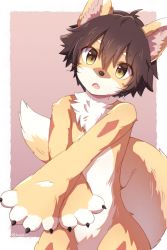 Rule 34 | 1boy, animal ears, black hair, border, brown eyes, clant st, claws, fang, fox boy, fox ears, fox tail, furry, furry male, highres, looking at viewer, male focus, nude, open mouth, original, outside border, short hair, solo, tail, twitter username, whiskers, white border