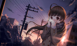 Rule 34 | 1girl, 2016, absurdres, ahoge, brown eyes, brown hair, dated, highres, long hair, original, outdoors, qi==qi, road, scarf, scarf over mouth, signature, solo, star (sky), steam, street, upper body