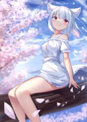 Rule 34 | 1girl, absurdres, akinakesu-chan, animal ear fluff, animal ears, blue sky, branch, breasts, cloud, collarbone, commentary request, day, dress, facing viewer, feet out of frame, female focus, flower, highres, long hair, looking to the side, off-shoulder dress, off shoulder, original, outdoors, petals, pink flower, puffy short sleeves, puffy sleeves, red eyes, romaji commentary, short sleeves, sitting, sky, small breasts, solo, tail, white dress, white hair