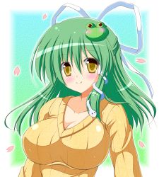 Rule 34 | 1girl, alternate costume, blush, breasts, cleavage, collarbone, female focus, frog hair ornament, green hair, hair ornament, hair ribbon, hair tubes, impossible clothes, impossible shirt, kochiya sanae, large breasts, long sleeves, osashin (osada), petals, ribbed sweater, ribbon, shirt, smile, snake hair ornament, solo, sweater, touhou, upper body, yellow eyes