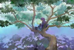 Rule 34 | 1boy, branch, facing away, fengxi (the legend of luoxiaohei), from behind, highres, leaf, long hair, long sleeves, pointy ears, profile, purple hair, ripples, shadow, shoes, sitting, solo, luo xiaohei zhanji, tree, wantsy, wide shot