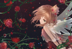 Rule 34 | 1girl, absurdres, arms behind back, bound, bound wrists, cardcaptor sakura, commentary, crown, danby merong, dress, flower, green eyes, hair between eyes, head tilt, heart, highres, kinomoto sakura, light brown hair, mini crown, parted lips, plant, profile, red dress, red flower, red rose, rose, see-through, signature, sleeveless, sleeveless dress, solo, symbol-only commentary, thorns, transparent wings, vines, water drop