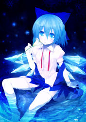 Rule 34 | 1girl, blue eyes, blue hair, bow, chinchickrin, cirno, embodiment of scarlet devil, flower, highres, lily (flower), matching hair/eyes, navel, neck ribbon, short hair, solo, touhou, undone neck ribbon, wings