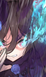 Rule 34 | 1girl, absurdres, animal ears, black hair, blue dress, blue flower, blue rose, clenched teeth, close-up, commentary request, dress, eyebrows hidden by hair, flaming eye, flower, hair between eyes, highres, horse ears, motion blur, pink eyes, rice shower (umamusume), roido (taniko-t-1218), rose, running, solo, sweat, teeth, umamusume, v-shaped eyebrows