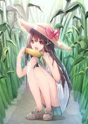 Rule 34 | 1girl, bare legs, black hair, bow, cocoa (cafe-hotcocoa), convenient leg, corn, corn cob, eating, hat, hat bow, hat ornament, highres, long hair, looking at viewer, no socks, original, shoes, solo, squatting