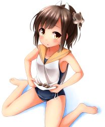Rule 34 | 10s, 1girl, acorn, barefoot, brown eyes, brown hair, chipmunk, faubynet, highres, i-401 (kancolle), kantai collection, md5 mismatch, personification, ponytail, resolution mismatch, sailor collar, school swimsuit, short hair, sitting, solo, source larger, squirrel, swimsuit, swimsuit under clothes, wariza
