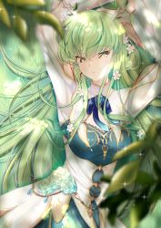 Rule 34 | 1girl, absurdres, antlers, arms up, blue flower, blue ribbon, blue rose, blurry, breasts, budgiepon, c.c., ceres fauna, ceres fauna (cosplay), code geass, cosplay, depth of field, flower, grass, hair flower, hair ornament, highres, hololive, hololive english, horns, leaf, long hair, lying, medium breasts, neck ribbon, on back, parted lips, ribbon, rose, solo, very long hair, virtual youtuber, yellow eyes