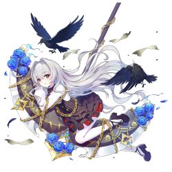 Rule 34 | 1girl, allan poe (honkai impact), benghuai xueyuan, bird, black footwear, blue flower, blush, chain, crow, dress, falling petals, flower, full body, gold chain, honkai (series), long hair, official art, pages, pantyhose, petals, red eyes, shoes, solo, third-party source, transparent background, weapon, white hair, white pantyhose