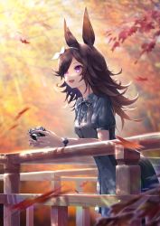 Rule 34 | 1girl, absurdres, against railing, amanun, animal ears, blue dress, blue ribbon, blurry, blurry background, bow hairband, brown hair, camera, collared dress, commentary request, dress, hairband, haru urara (umamusume), highres, holding, holding camera, horse ears, leaf, light rays, long hair, looking afar, maple leaf, motion blur, neck ribbon, open mouth, outdoors, puffy short sleeves, puffy sleeves, purple eyes, railing, ribbon, rice shower (umamusume), short sleeves, smile, solo, sunbeam, sunlight, umamusume, watch, wristwatch