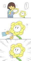 Rule 34 | ..., 1boy, 1other, 3koma, :o, = =, androgynous, blue sweater, brown hair, closed eyes, colored skin, comic, emphasis lines, flower, flowey (undertale), frisk (undertale), highres, sasa kichi, serious, short hair, simple background, spoken ellipsis, striped clothes, striped sweater, sweater, translated, undertale, white background, yellow skin, | |