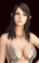Rule 34 | 1girl, 3d, blue eyes, breasts, brown hair, cleavage, elf, high elf, highres, jewelry, long hair, looking to the side, necklace, parted lips, pointy ears, ryanreos, solo, tera online, upper body