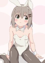 Rule 34 | 1girl, animal ears, bare shoulders, black pantyhose, blush, bow, bowtie, breasts, brown hair, closed mouth, collarbone, fake animal ears, green eyes, groin, hair ornament, hairclip, highres, leotard, looking to the side, pantyhose, playboy bunny, rabbit ears, short hair, small breasts, solo, white bow, white bowtie, white leotard, yama no susume, ykr (youkiri), yukimura aoi