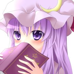 Rule 34 | 1girl, bad id, bad pixiv id, blush, book, covering face, covering own mouth, covering privates, etou (cherry7), female focus, hat, long hair, patchouli knowledge, purple eyes, purple hair, shy, simple background, solo, touhou, white background