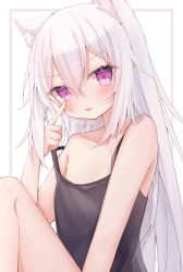 Rule 34 | 1girl, akanbe, animal ear fluff, animal ears, bare arms, bare shoulders, black camisole, blush, camisole, cat ears, commentary request, eyelid pull, feet out of frame, hair between eyes, highres, knee up, long hair, original, purple eyes, ringouulu, solo, tongue, tongue out, twitter username, very long hair, white background, white hair
