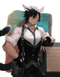 Rule 34 | 1boy, :/, animal ears, warrior of light (ff14), bad id, bad pixiv id, between pectorals, black gloves, black hair, black tail, blue necktie, brick wall, cargo pants, cat boy, cat ears, closed mouth, collared shirt, commentary request, cowboy shot, crate, cross scar, dark-skinned male, dark skin, dated, facial scar, final fantasy, final fantasy xiv, fingerless gloves, gloves, green eyes, hair between eyes, highres, leaning on object, looking at viewer, male focus, miqo&#039;te, mn (zig r14), muscular, muscular male, necktie, necktie between pectorals, pants, pectorals, pouch, scar, scar on arm, scar on cheek, scar on face, shirt, sleeves rolled up, suspenders, tail, toned, toned male, twitter username, waistcoat, wing collar