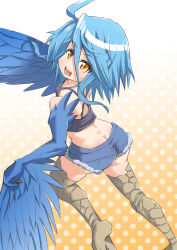 Rule 34 | 10s, 1girl, ahoge, ass, blue hair, blue wings, butt crack, claws, feathered wings, feathers, from behind, harpy, jowan&#039;nu, looking back, monster girl, monster musume no iru nichijou, papi (monster musume), polka dot, polka dot background, short shorts, shorts, sidelocks, solo, talons, winged arms, wings, yellow eyes
