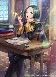 Rule 34 | 1boy, 1other, bishounen, blue eyes, boots, bug, butterfly, epaulettes, faceless, faceless male, feathers, fire emblem, fire emblem: three houses, fire emblem cipher, garreg mach monastery uniform, green hair, insect, linhardt von hevring, long hair, low ponytail, male focus, matsurika youko, nintendo, official art, one eye closed, open mouth, sitting, solo focus, sparkle, teeth, window, yawning