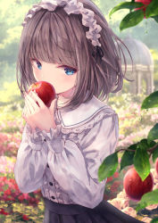 Rule 34 | apple, black skirt, blue eyes, blunt bangs, blurry, blurry background, blurry foreground, blush, branch, brown hair, collared shirt, commentary, covering own mouth, day, depth of field, flower, food, frilled sleeves, frills, fruit, garden, gazebo, hairband, highres, holding, holding food, holding fruit, leaf, lolita hairband, long sleeves, looking at viewer, missile228, original, outdoors, pink flower, pink rose, red flower, red rose, rose, shirt, short hair, skirt, symbol-only commentary, tree, upper body, water drop, white shirt
