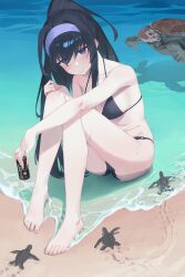 Rule 34 | 1girl, absurdres, animal, ass, bare arms, bare legs, bare shoulders, barefoot, beach, bikini, black bikini, black hair, blue archive, blue eyes, blue hairband, blush, breasts, closed mouth, collarbone, hairband, highres, long hair, ocean, official alternate costume, ponytail, rikuhito juusan, shore, small breasts, solo, swimsuit, toes, turtle, ui (blue archive), ui (swimsuit) (blue archive), wet