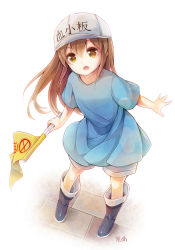 Rule 34 | 10s, 1girl, black footwear, blue shirt, blush, boots, brown eyes, brown hair, character name, clothes writing, commentary request, dutch angle, flag, flat cap, grey hat, grey shorts, hat, hataraku saibou, holding, holding flag, leaning to the side, long hair, open mouth, platelet (hataraku saibou), shirt, short shorts, short sleeves, shorts, solo, standing, very long hair, white background, yonema