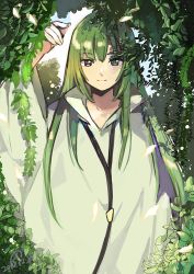 Rule 34 | 1boy, 2017, androgynous, arm up, closed mouth, dated, enkidu (fate), eyebrows, facing viewer, fate/strange fake, fate (series), green eyes, green hair, green theme, hair between eyes, long hair, long sleeves, looking at viewer, male focus, medu (rubish), plant, robe, smile, solo, straight hair, very long hair, white robe, wide sleeves