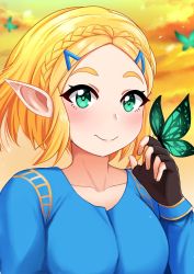 Rule 34 | 1girl, absurdres, blonde hair, blue eyes, blue shirt, blush, braid, bug, butterfly, butterfly on hand, collarbone, crown braid, evening, fingerless gloves, gloves, green eyes, hair ornament, hairclip, highres, insect, long sleeves, looking at viewer, nintendo, parted bangs, pointy ears, princess zelda, shirt, short hair, smile, solo, sunset, the legend of zelda, the legend of zelda: breath of the wild, the legend of zelda: tears of the kingdom, the only shoe, thick eyebrows, upper body
