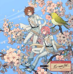 Rule 34 | 2boys, bad id, bad pixiv id, bird, blue sky, branch, brown hair, cherry blossoms, ensemble stars!, flower, full body, green eyes, highres, jacket, long sleeves, looking at another, male focus, meremero, mikejima madara, multiple boys, oukawa kohaku, outdoors, pants, pink flower, pink hair, purple eyes, shoes, short hair, sitting, sitting on branch, sky, smile, standing, translation request, white footwear, white jacket, white pants