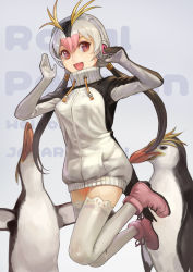 Rule 34 | 10s, 1girl, :d, animal, bird, black hair, blue background, character name, english text, headphones, highres, kemono friends, mizore akihiro, multicolored hair, open mouth, penguin, pink hair, red eyes, royal penguin, royal penguin (kemono friends), smile, solo, thighhighs, turtleneck, white hair, white thighhighs