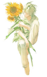 Rule 34 | 1boy, barefoot, blouse, closed mouth, eyelashes, closed eyes, flower, full body, green hair, highres, knee up, male focus, original, pants, re degrees (red flagship), shirt, simple background, sitting, smile, solo, sunflower, watermark, web address, white background, white shirt