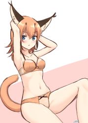 Rule 34 | 1girl, absurdres, animal ear fluff, animal ears, armpits, arms behind head, arms up, blue eyes, blush, bra, breasts, caracal (kemono friends), collarbone, frown, hair between eyes, highres, kemono friends, long hair, looking at viewer, medium breasts, navel, orange bra, orange hair, orange panties, panties, pink background, shiraha maru, signature, simple background, sketch, solo, stomach, tail, two-tone background, underwear, underwear only, white background