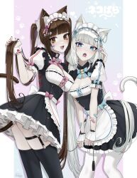Rule 34 | 2girls, :d, :o, animal ear fluff, animal ears, apron, bandaid, bandaid on arm, bell, black choker, black thighhighs, blue bow, blue eyes, bow, breasts, brown eyes, brown hair, cat ears, cat girl, cat tail, chain, chain leash, chocola (nekopara), choker, choppy bangs, claralukika, cleavage, cleavage cutout, clothing cutout, ear piercing, frilled choker, frills, hair ornament, highres, holding, holding another&#039;s head, holding chain, holding own hair, jingle bell, leash, light blush, long hair, looking at viewer, low twintails, maid, maid apron, maid headdress, medium bangs, medium breasts, mouth piercing, multiple girls, nail polish, neck bell, nekopara, open mouth, pale skin, paw print, paw print pattern, piercing, pink bow, puffy short sleeves, puffy sleeves, red nails, short sleeves, simple background, small breasts, smile, tail, thigh strap, thighhighs, three-toned background, tongue piercing, twintails, vanilla (nekopara), very long hair, white bow, white hair, white thighhighs, white wrist cuffs, wrist cuffs