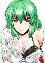 Rule 34 | 1girl, between breasts, black bra, blush, bra, breasts, cleavage, female focus, green hair, hose, kazami yuuka, large breasts, off shoulder, red eyes, see-through, sexually suggestive, shirt, short hair, slit pupils, smile, solo, touhou, underwear, upper body, wet, wet clothes, wet shirt, y2