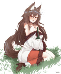 Rule 34 | 1girl, animal ear fluff, animal ears, bare shoulders, between breasts, blush, boots, bottle, breasts, brown eyes, brown footwear, brown hair, cleavage, commentary, dress, drunk, ehrrr, full body, grass, hair between eyes, high heel boots, high heels, highres, imaizumi kagerou, knee boots, large breasts, long hair, nose blush, open mouth, simple background, sitting, solo, squeans, tail, touhou, white background, white dress, wide sleeves, wolf ears, wolf tail, yokozuwari
