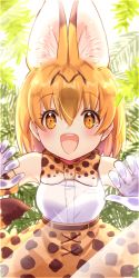 Rule 34 | 10s, 1girl, :d, animal ears, belt, blush, bow, bowtie, breast pocket, elbow gloves, extra ears, gloves, high-waist skirt, highres, kemono friends, lace, looking at viewer, mugi (iccomae), multicolored hair, open mouth, orange bow, orange eyes, orange hair, orange skirt, fake phone screenshot, plant, pocket, round teeth, serval (kemono friends), serval print, serval tail, shirt, shirt pocket, short hair, skirt, sleeveless, sleeveless shirt, smile, solo, spots, streaked hair, tail, teeth, white shirt
