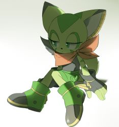 Rule 34 | 1girl, animal ears, bad id, bad twitter id, bandana, boots, cargo pants, carol tea, cat ears, cat tail, eyelashes, fingerless gloves, freedom planet, furry, furry female, galaxytrail, gloves, green eyes, half-closed eyes, jeto (jetopyon), looking to the side, pants, shirt, shorts, sitting, slit pupils, solo, tail, white background
