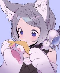 Rule 34 | 1girl, animal ears, animal hands, blue background, braid, cat ears, cat girl, cat paws, character request, choker, eating, flower, frilled choker, frills, gloves, grey hair, hair flower, hair ornament, mono (mono zzz), original, paw gloves, purple eyes, short hair, simple background, solo
