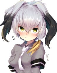 Rule 34 | 10s, 1girl, :|, black hair, blush, breasts, closed mouth, commentary request, flying sweatdrops, grey hair, grey shirt, hair between eyes, head wings, kemono friends, looking at viewer, medium breasts, multicolored hair, nachiru, necktie, shirt, shoebill (kemono friends), short sleeves, simple background, solo, upper body, white background, wings, yellow eyes