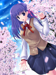 Rule 34 | 00s, 1girl, aikawa fuugetsu, blurry, cherry blossoms, day, dutch angle, fate/stay night, fate (series), hair ribbon, homurahara academy school uniform, long hair, long sleeves, looking at viewer, matou sakura, motion blur, neck ribbon, outdoors, outstretched arm, petals, purple eyes, purple hair, reaching, ribbon, school uniform, shirt, skirt, sky, solo, tree, vest, wind