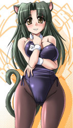 Rule 34 | 1girl, animal ears, blush, breasts squeezed together, breasts, brown eyes, cat ears, cat tail, collar, green hair, kittysuit, large breasts, milk (tonpuu), nontraditional playboy bunny, original, pantyhose, solo, tail, tonpuu, wrist cuffs