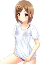 Rule 34 | 1girl, blush, breasts, brown hair, collarbone, cowboy shot, frown, gym uniform, highres, ki (kk-sk-ray), looking at viewer, original, school swimsuit, see-through, shirt, shirt tug, short hair, short sleeves, simple background, solo, swimsuit, swimsuit under clothes, t-shirt, white background
