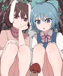Rule 34 | &gt; &lt;, 2girls, :/, animal ears, blue bow, blue dress, blue eyes, blue hair, bow, brown hair, carrot necklace, cirno, commentary, dress, floppy ears, flying sweatdrops, hair between eyes, hair bow, hand on own knee, head rest, highres, inaba tewi, jewelry, marsen, multiple girls, mushroom, neck ribbon, necklace, open mouth, outdoors, panties, pantyshot, pinafore dress, puffy short sleeves, puffy sleeves, rabbit ears, red ribbon, ribbon, shirt, short hair, short sleeves, sleeveless dress, squatting, symbol-only commentary, touhou, tree, underwear, white shirt