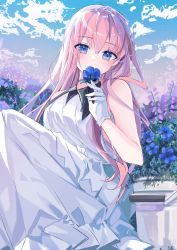 Rule 34 | 1girl, artist name, bare shoulders, blue eyes, blue flower, blush, breasts, cloud, collared dress, commentary, covered mouth, day, dress, flower, gloves, hair between eyes, hand on lap, hand up, highres, holding, holding flower, knees up, leaf, long dress, long hair, looking at viewer, medium breasts, original, outdoors, pink hair, plant, sitting, sleeveless, solo, symbol-only commentary, venn (vebonbon), white dress, white gloves