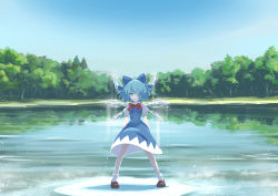 Rule 34 | 1girl, absurdres, blue bow, blue dress, blue eyes, blue hair, blue sky, bow, bowtie, brown footwear, cirno, cloud, commentary, day, dress, forest, full body, grin, hair bow, hair over one eye, highres, ice, ice wings, kawayabug, lake, light particles, looking at viewer, nature, outdoors, pinafore dress, puffy short sleeves, puffy sleeves, red bow, red bowtie, shadow, shirt, shoes, short hair, short sleeves, sky, sleeveless dress, smile, socks, solo, standing, touhou, tree, water, white shirt, white socks, wings
